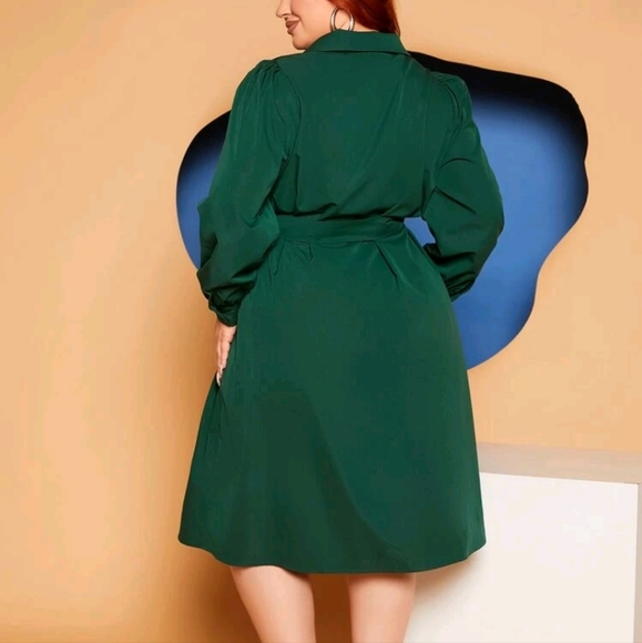 SHEIN FIT+ Plus Button Front Belted Shirt Dress - Picture 2 of 3